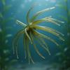 6Pcs Artificial Sea Urchin Lures Soft Floating Swimbait Artificial Baits For Beginner And Professional Anglers Enduring
