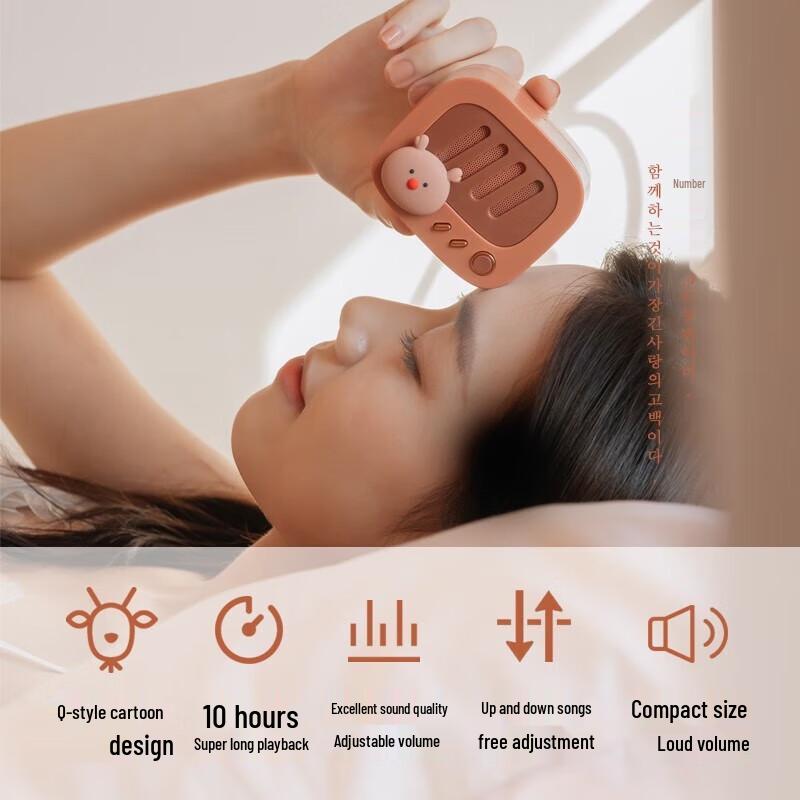 Pet Love Mini Retro Turntable Bluetooth Speaker