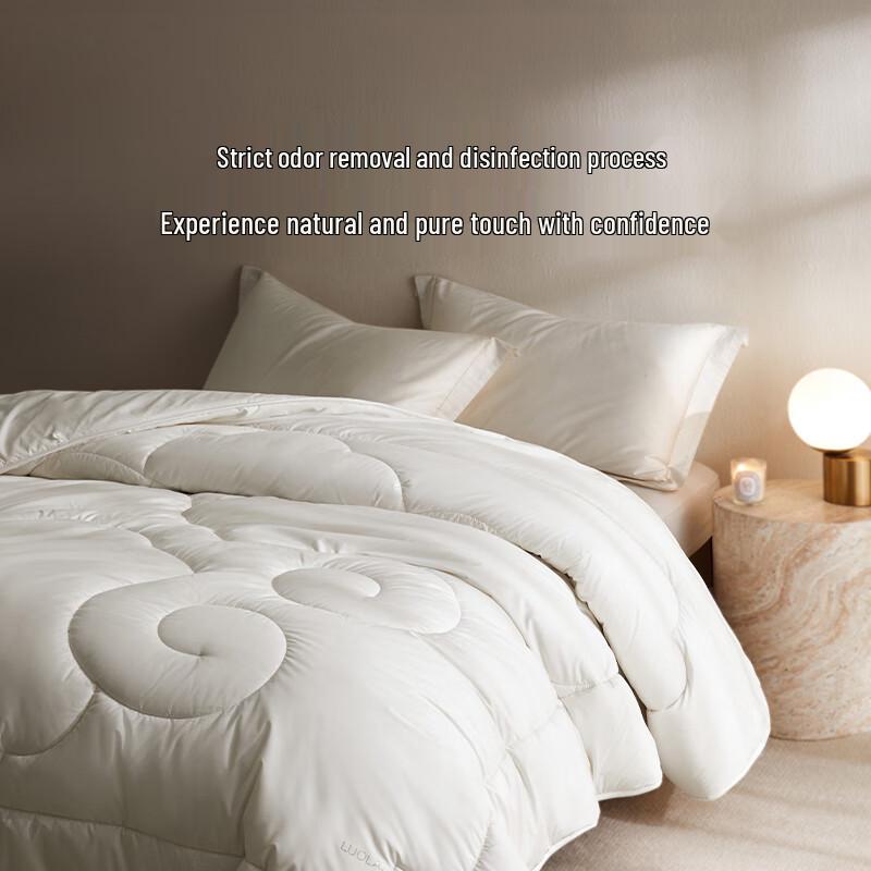 LUOLAI Silk-Wool 2-in-1 Duvet Set