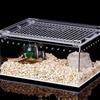 Reptile Box Feeding Small Pet Horned Spider Lizards Snail Snake Clear Designed Box Geckos Silkworms Insect Snake House