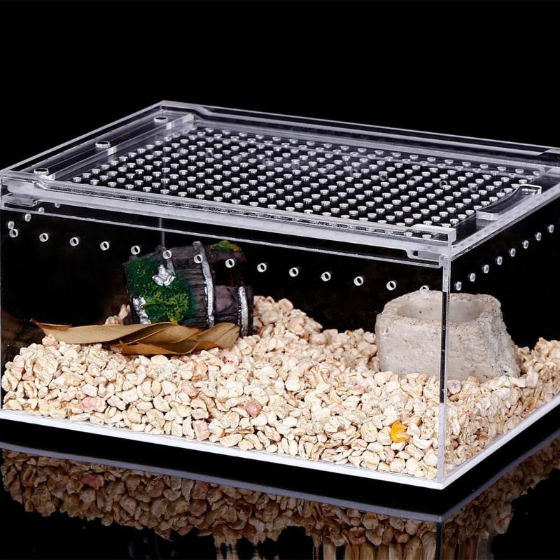 Reptile Box Feeding Small Pet Horned Spider Lizards Snail Snake Clear Designed Box Geckos Silkworms Insect Snake House
