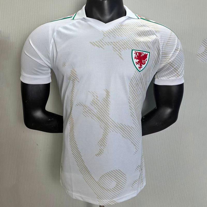 Wales National Team Away Jersey 26-27 Short Sleeve Edition M