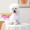 Pet clothes autumn and winter new small dog puppies happy dog cat warm comfortable cool sweater - white rabbit