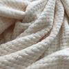 Soft Warm Flannel Blankets For Beds Solid Pink Blue Coral Fleece Mink Throw Sofa Cover Bedspread Fluffy Plaid Blankets