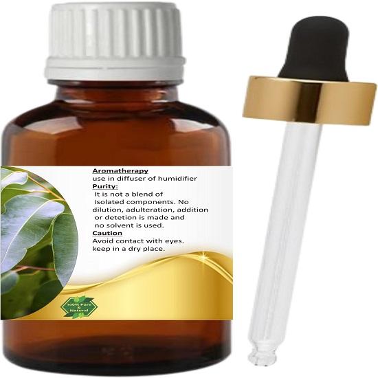 Levenmooi Eucalyptus Radiata (Eucalyptus Radiata Sieber) Pure & Natural Therapeutic Grade Essential Oil Glass