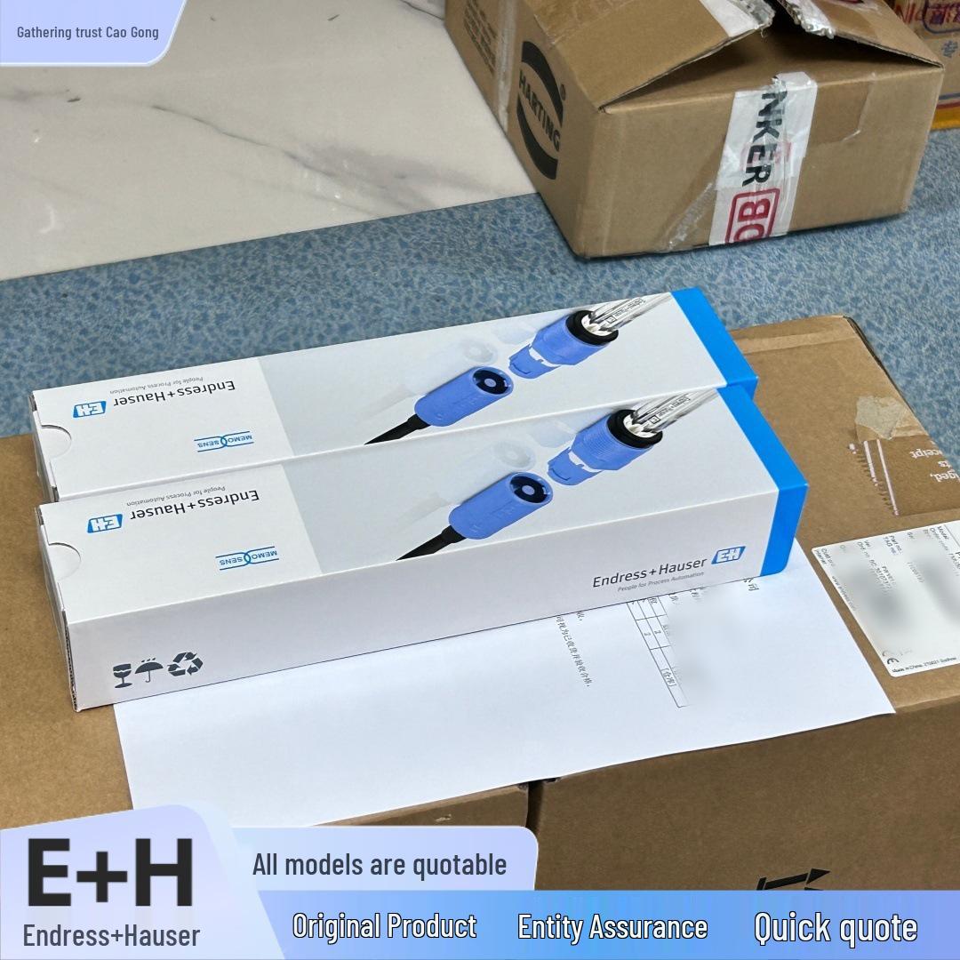 

FTM51 Tuning Fork Limit Switch by Endress+Hauser
