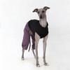 Modische 4-beinige Baumwoll-Schlafanzüge für Whippet & Italienisches Windspiel, Verstellbarer Leichter Hundemantel für Windhunde Frühling Sommer