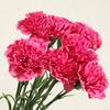 Artificial Carnation Realistic Fake Silk Flower Stem Wedding Party Indoor Outdoor Faux Flower Decoration Mother's Day Teachers' Day Gift