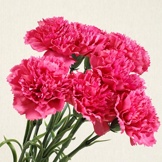 Artificial Carnation Realistic Fake Silk Flower Stem Wedding Party Indoor Outdoor Faux Flower Decoration Mother's Day Teachers' Day Gift