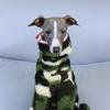 Whippet Italian Greyhound Clothing Fleece Jammies Coat Autumn Winter Warm Plush Turtleneck Jacket Pet Dog Clothes Fashion Jumper