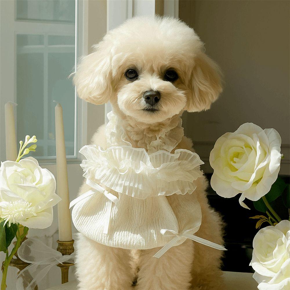 Soft Pet White Lace Camisole Cute Cat Princess Skirt Summer Pet Vest  for Pomeranian Chihuahua