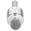 Wireless Microphone Bluetooth Recording Handheld Portable for Party Wedding Meeting