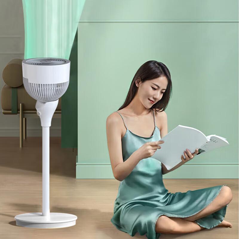 Airmate FA18-X80 Stand-Luftzirkulator mit CN-Stecker (Adapter enthalten)