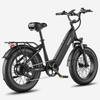 Electric Bicycle Fafrees F20 Rover 20" 250W Motor 48V 20AH Dual Hydraulic Disc Brakes Top Speed 25km/h LCD Display 7 Speed Max Load 150Kg