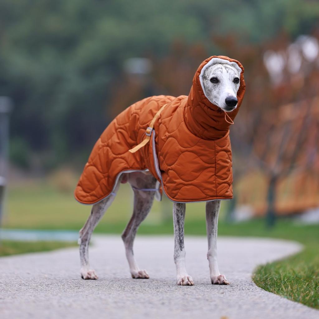 Turtle Neck Winter Dog Coat,Warm Jumpsuit Outfit for Greyhound Whippet Large Breed,Adjustable Drawstring & Strap Design Cloak