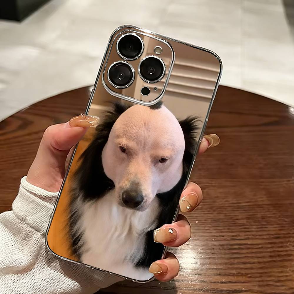 Funny Dog-g   Phone Case For iPhone 17 16 15 14 13 12 11 Mini Pro Max Plus Transparent Cover