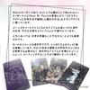 Pagan Tarot Tarot Fortune Telling Method with Japanese Instruction Manual Authentic Tarot Cards 78 Sheets