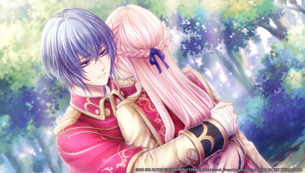 Battlefield Waltz North Switch (Import America) –