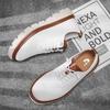 Übergröße 50 51 52 53 54 Herren Mesh-Sneaker Brogue-Designs mit klobigen Sohlen Freizeit-Gehschuhe Sports-Loafer