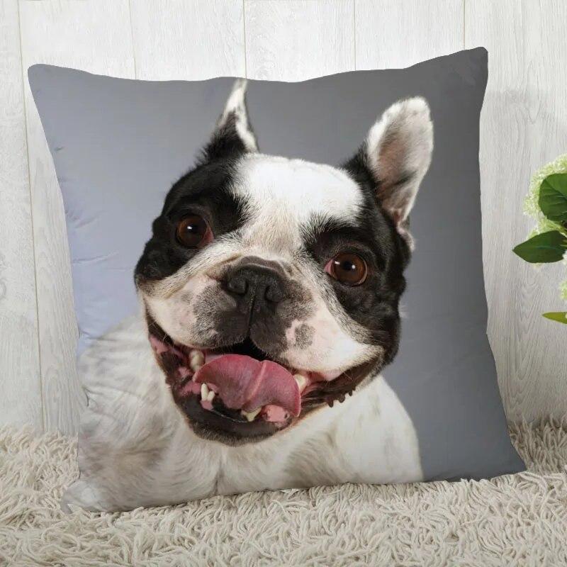 Pillowcase Bulldog  Modern Home Living Room Decoration