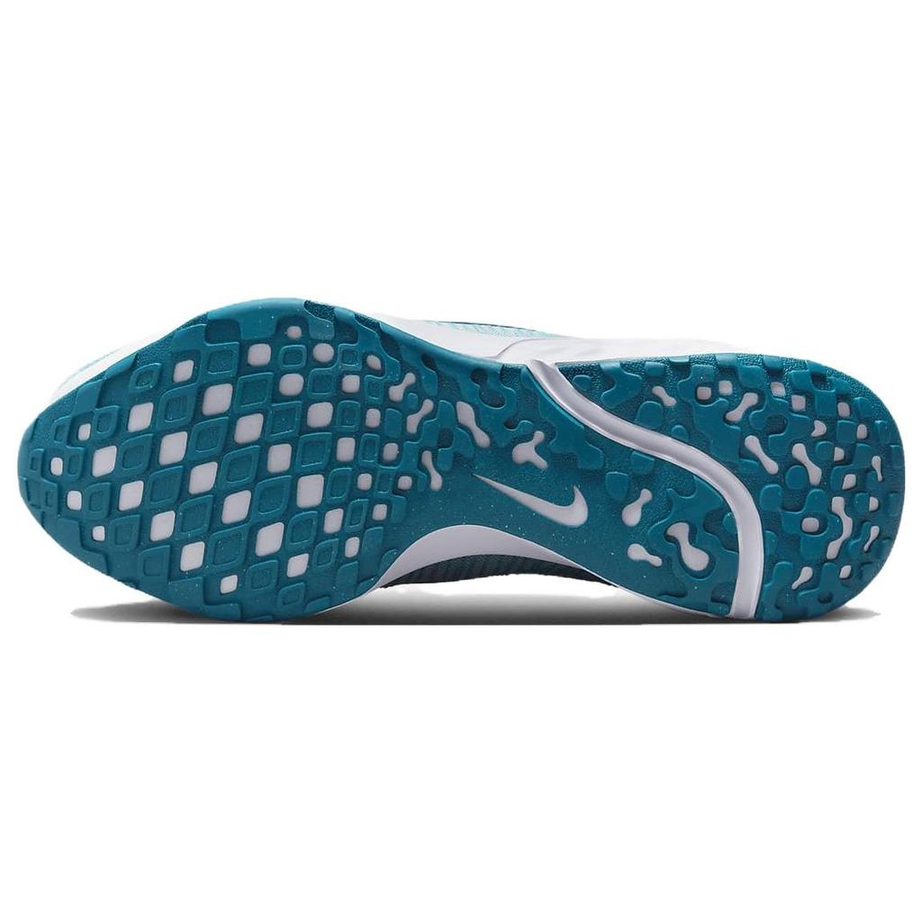 Nike Renew Run 4 DR2677-400