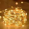 String Lights for Bedroom, Party, Wedding, Christmas Halloween Decoration, 50/100LED