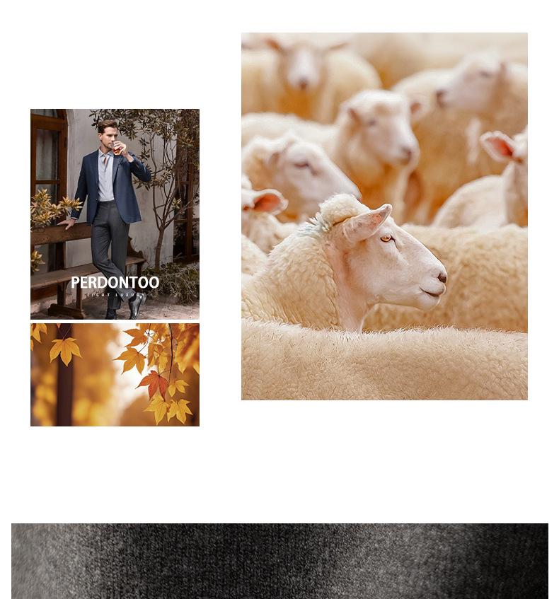 Italian Light Luxury Men's Wool High-Neck Short-Sleeve Knit T-Shirt for Commuting and Casual Autumn/Winter Wear