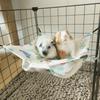 Breathable Pet Hammock Comfortable Hammock Swing Toys  For Small Animal Chinchillas