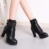 2026 Autumn/Winter New European and American High Heels with Velvet Short Boots Fashion Belt Buckle Boots for Women