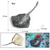 Oenux 10PCS Sea Life Animals Ray Devilray Mantaray Model Action Figures Figurines Ocean Marine Aquarium Education Kids Toy Gift