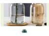 Transparent Minimalist Glass Vase for Office Decoration with Fresh or Dried Flowers