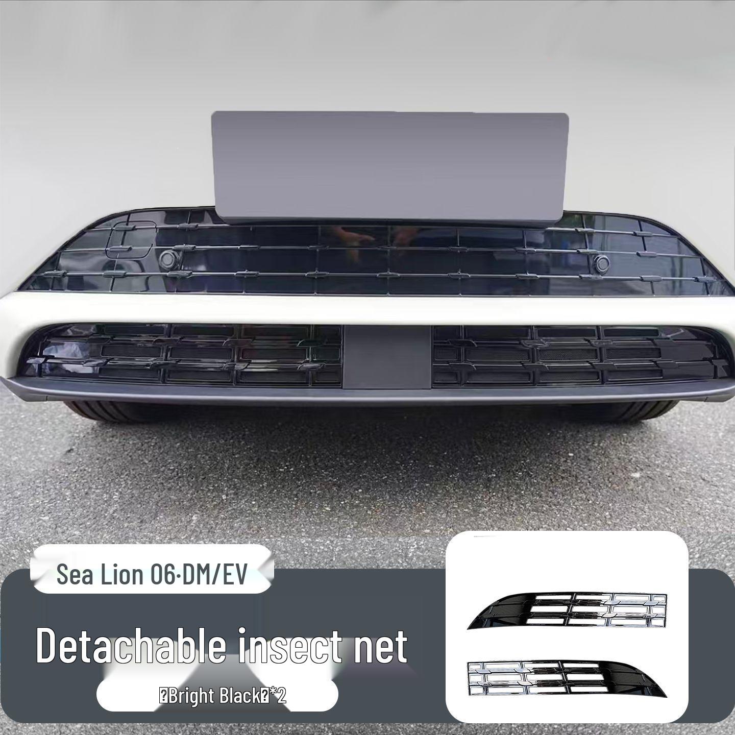 BYD Sea Lion 06EV Insect Net Front Grille Decoration BYD Sea Lion 06 New Energy