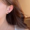111 Silver Needle Tassel Wheat Ear Leaf Earrings Light Luxury Premium Sense Sparkling Earrings Women's Unique Temperament Earrings