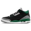 New JORDAN 3 Retro Pine Green CT8532-030