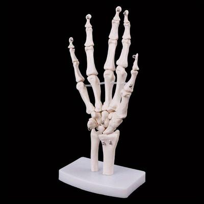 Okul Ürünleri – Eğitim ekipmanları