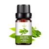 Rose Essential Oil - 10ML Aromatherapy Perfume Oil with 27 Fragrances