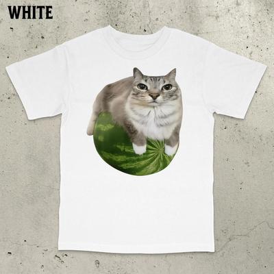 Watermelon Cat Funny Meme Cat Meme Stupid Meme T-Shirt Cursed Cat Gen Z Meme Shirt Cringe Shirt Y2k Men Clothing Comfortable