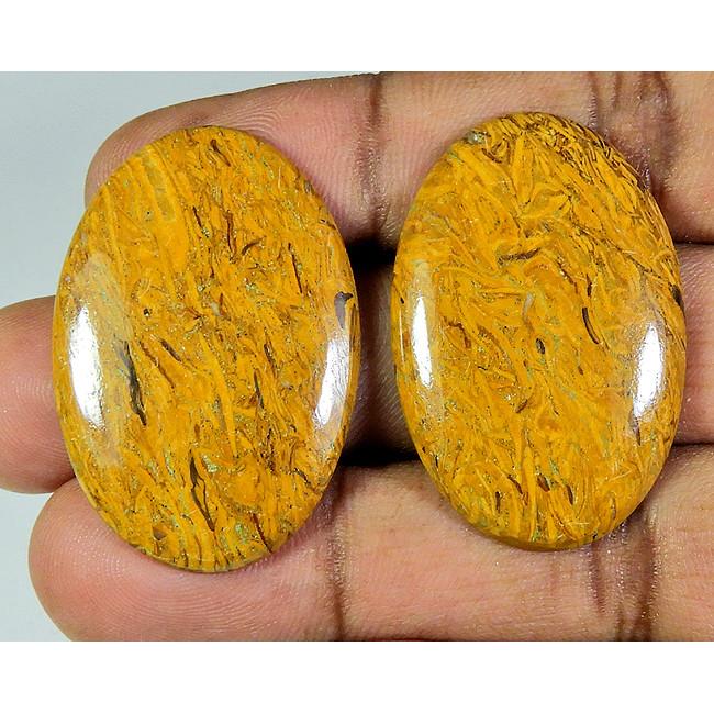 

69Cts. Natural Marium Fossil Oval Cabochon Loose Gemstone 2Pcs Lot PP-255