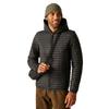 Regatta Mens Rigain Padded Jacket
