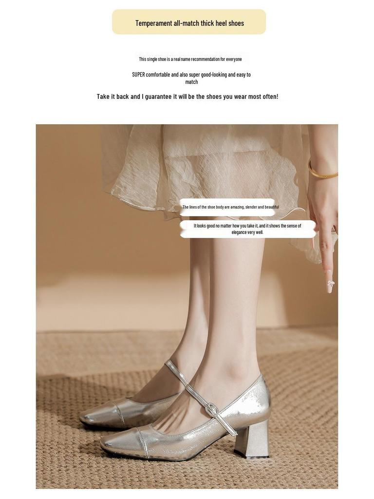 Silver Mary Jane High Heels: Women's Square Toe Retro Chunky Heel One-Strap Shoes for Spring and Autumn.