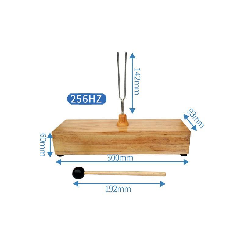 Steel Tuning Fork Set: 256Hz, 512Hz, 440Hz with Hammer - Perfect for Junior High School Physics and Acoustics Experiments