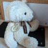 [USED] Tully's Bearful Teddy Bear 15th Anniversary Brown White