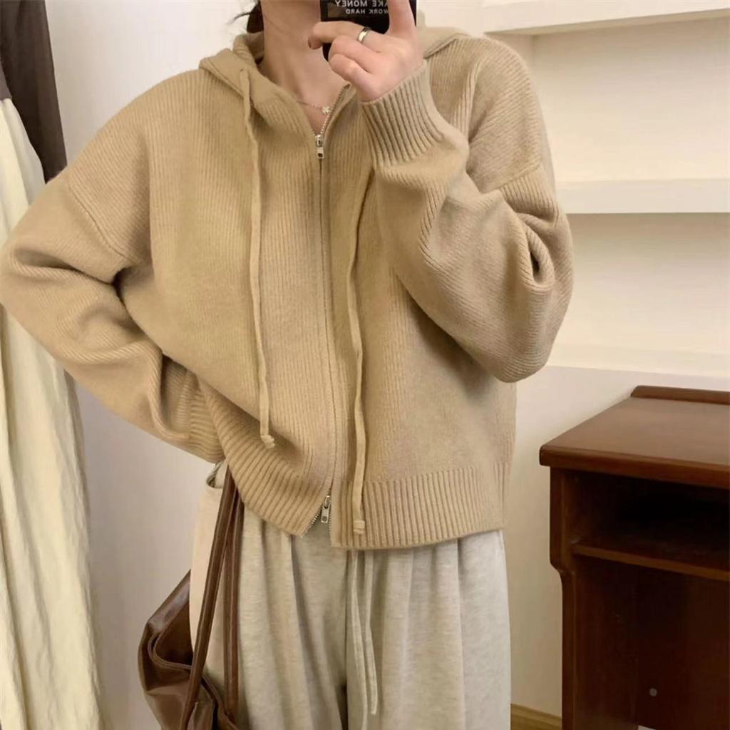 Knitted Hooded Double Zipper Short Cardigan Small Sweater Women's Spring and Autumn Temperament Simple Lazy Wind Sweater Jacket