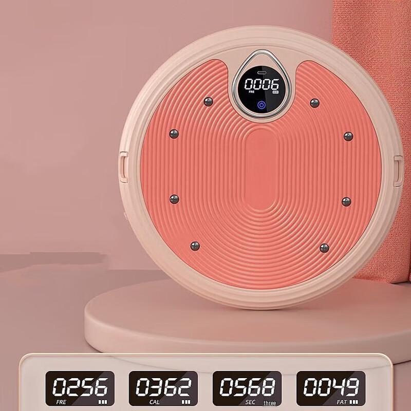 Home Waist Twister Exercise Plate