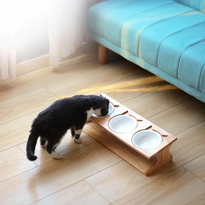 Katzen Keramik Napf Haustierbedarf Katzen Futter Napf Keramik Schale mit Hohen Beinen Schräg Massivholz