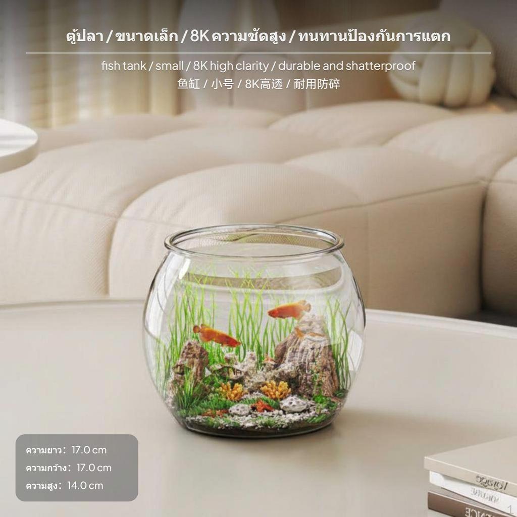 2Piece Turtle enclosure, PET Fish Desktop amphibian Habitat, High Transparency Jumbo