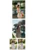 Hot Fashion Women's Slimming One-Piece Onsen Swimsuit with Skirt Style Cover-up, Solid Color, Conservative Waist-Cinching Design
