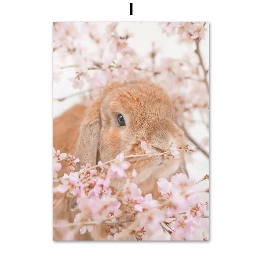 Rosa Kirschblüte Pfingstrose Orchidee Blume Nordic Poster Wand Kunst Leinwand Malerei Und Drucke Wand Bilder Für Schlafzimmer Wohnkultur