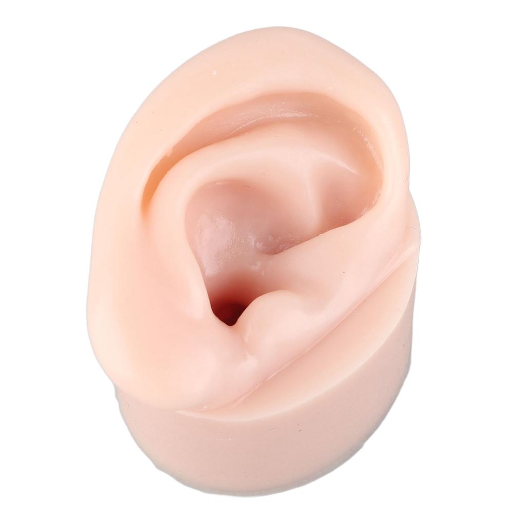 Silicone Ear Model Medium Skin Color Piercing Practice Ear Model for Earrings Display Teaching