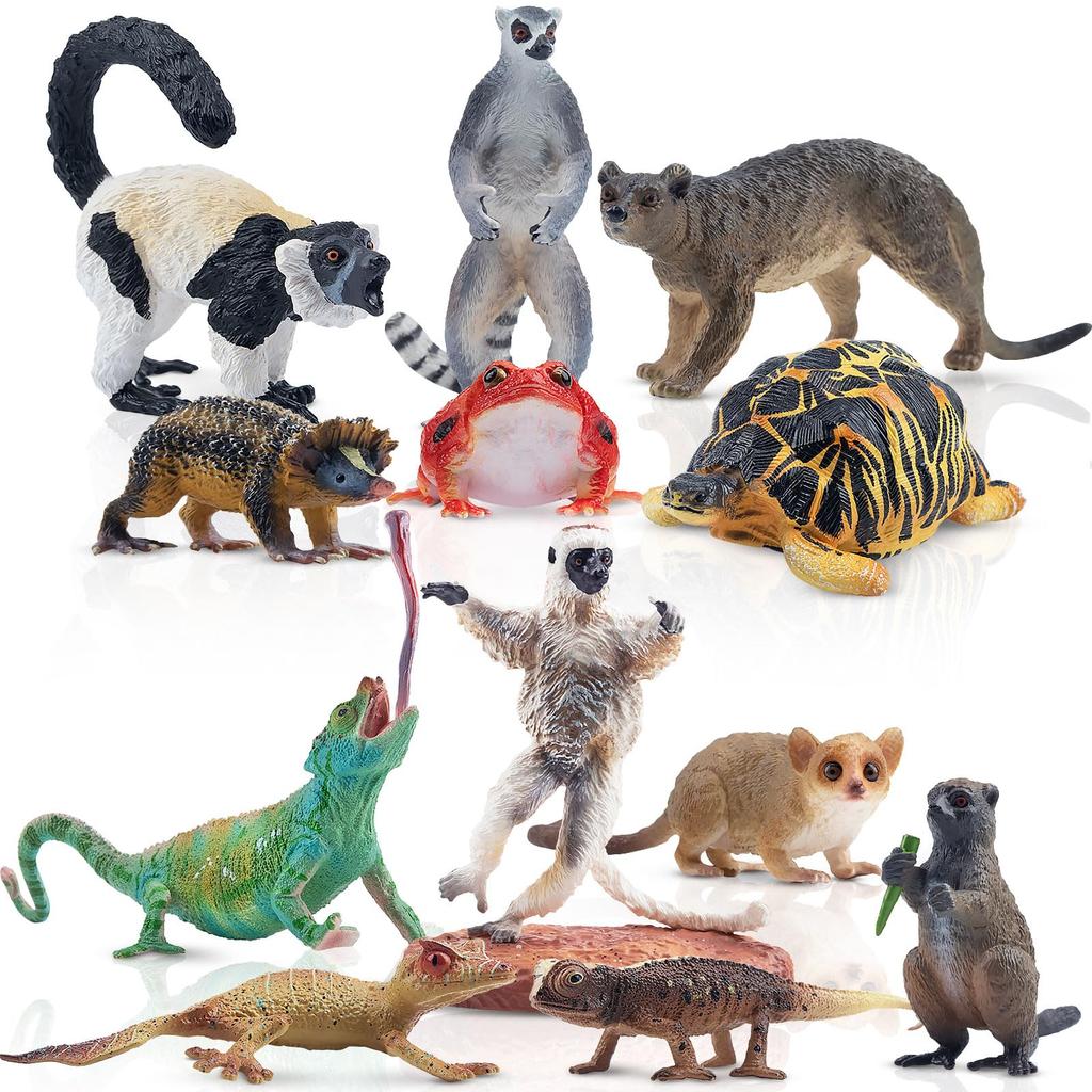 TOYMANY Madagascar Animal Figures, 12-Piece Hand-Painted Educational Set